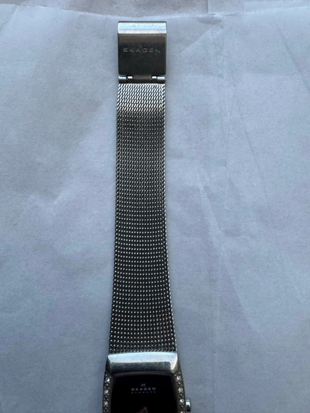 Skagen Denmark Platinum Plated Crystal Accent Mesh Watch